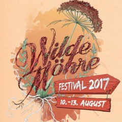 Till Hall @ Wilde Möhre Festival 2017 | Immergrün
