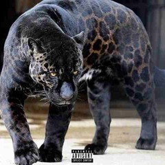 iYigh (prod. Jay Storm)