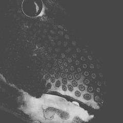 Las Partes Vivas Del Monstruo