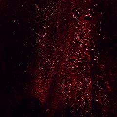kissing stars.