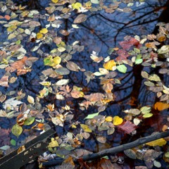 Woe, is beat! (Prod. Civvi)