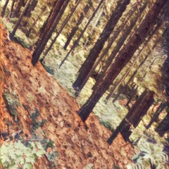 OUTKA$T - THA WOODS(Prod. CXSMO)