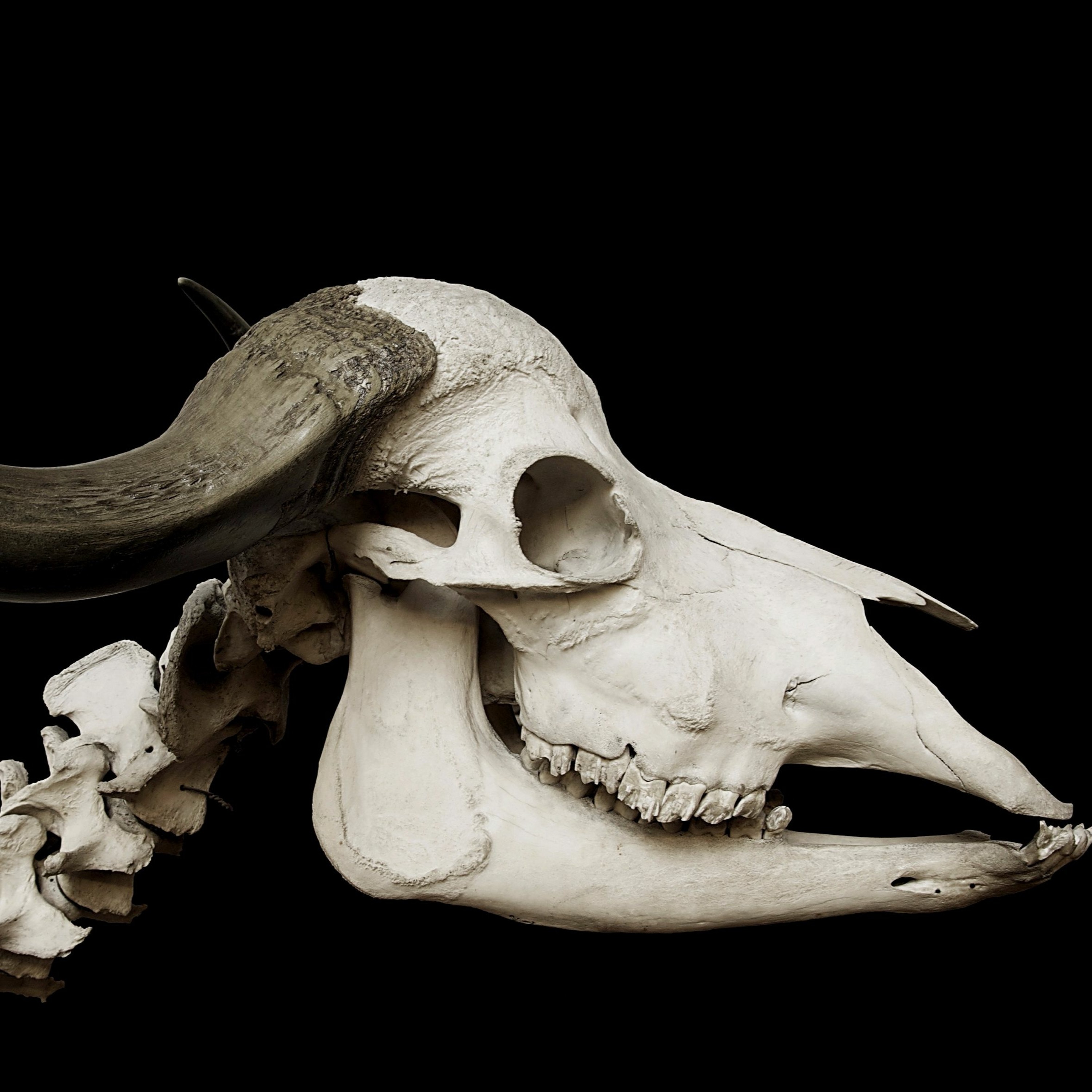 Episode 42—Anatomy of a Bestseller