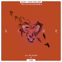 All We Know Is Fire(3LAU  X Said The Sky X The Chainsmokers)