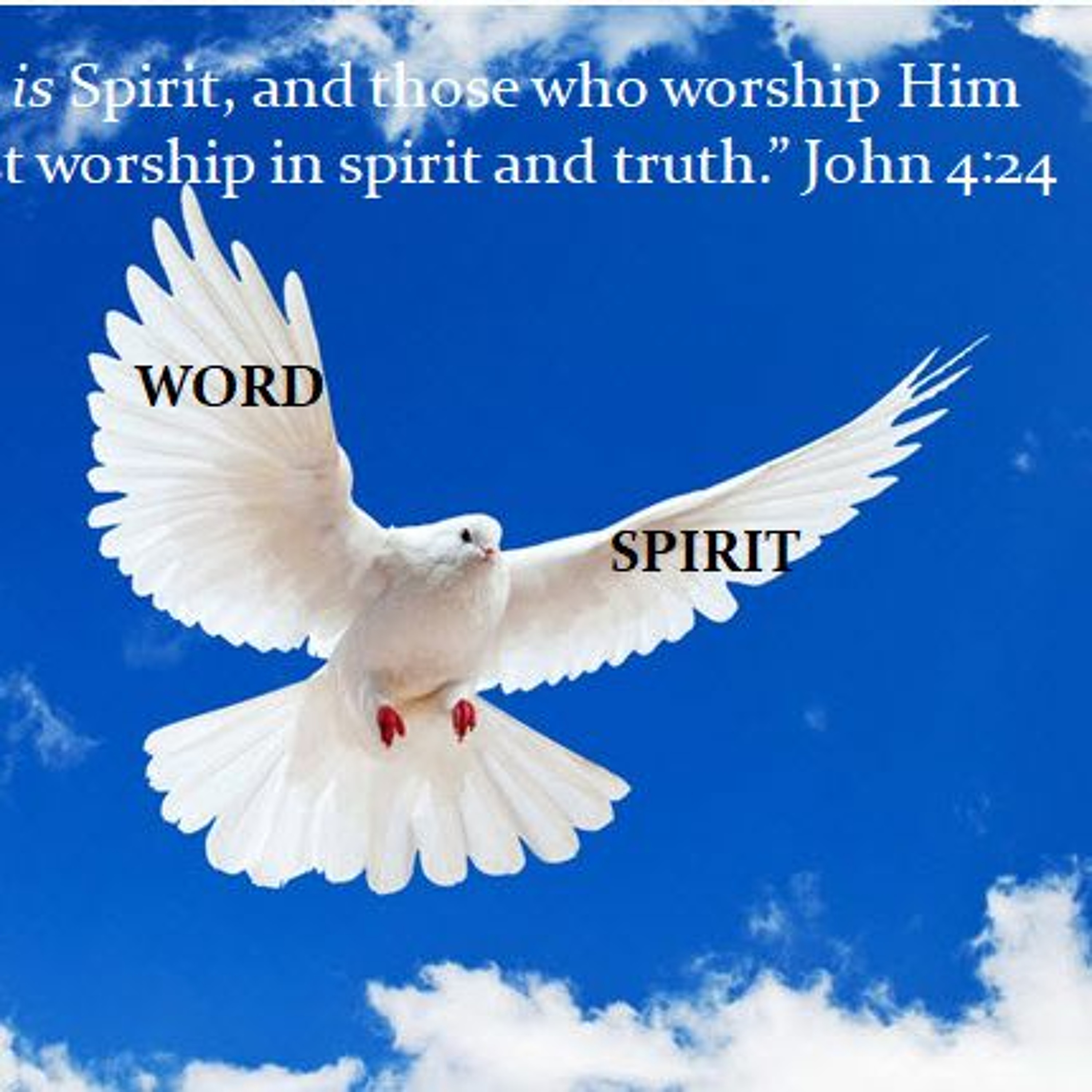 HHMI ~ 2 Corinthians 3  ~ Spirit vs Letter ~ Pt 6 ~ Glory in Self v/s Glory to Yeshua episode artwork