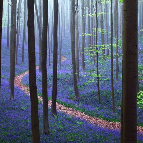 Prem Joshua - Secret Place (Herhangi/Edit)