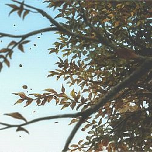 falling like leaves