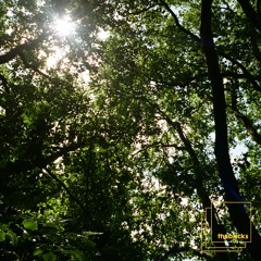 PREMIERE: Tom Bulwer - Nuit Blanche [The Bricks]