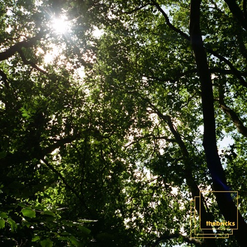 PREMIERE: Tom Bulwer - Nuit Blanche [The Bricks]