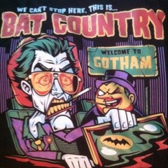 We Can' t Stop Here (This Is Bat Country)