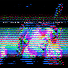 Scott Walker - It's Raining Today (Giant Sponge Mix)