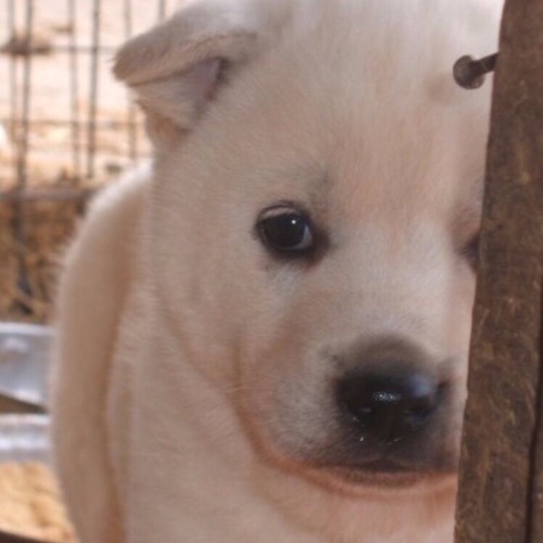 15MIN House mix @ ddj-sb2