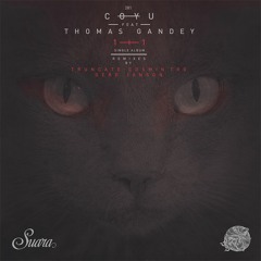 Coyu feat Thomas Gandey - 1+1 (Gerd Janson Arp Mix)