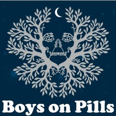 Boys On Pills - Wenn I Laeb /wenn I  Stirb (Prod. Elwont) 2012