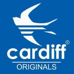 STICKYLEMONS DJ BASON DJ T - BONE MC S TRAUMATIK & SLIM-TENG  (1)