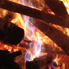 The Ocean [LIVE] FREE DOWNLOAD