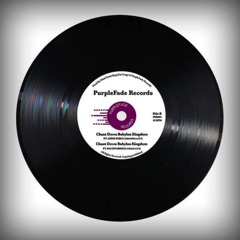 Fat Frog - Chant Down Babylon Kingdom 12" Vinyl PREVIEW