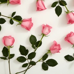 سورة المؤمنون مقطع - عطية طاحون