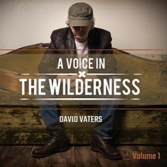 Let It Rain - David Vaters - A Voice In The Wilderness Vol. 1