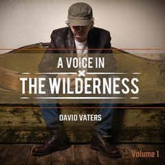 Mansion In The Sky - David Vaters - A Voice In The Wilderness Vol. 1
