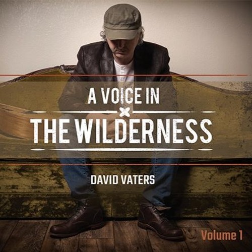 Mansion In The Sky - David Vaters - A Voice In The Wilderness Vol. 1
