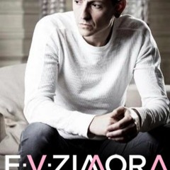 Numb - Linkin Park (E V Zimora Cover)