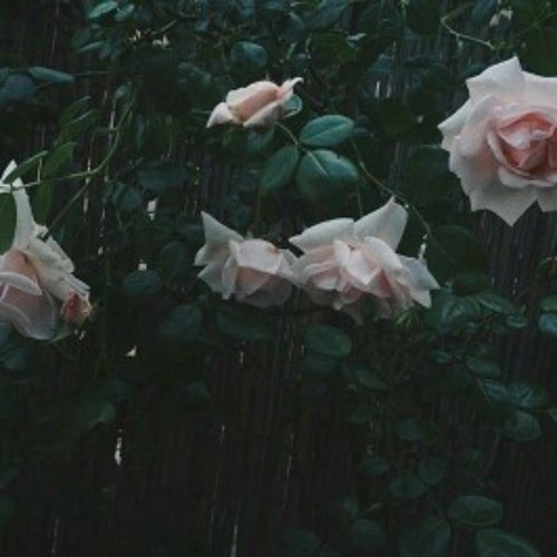 let you go
