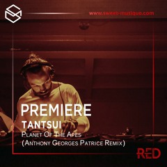 PREMIERE:  Tantsui - Planet Of The Apes (Anthony Georges Patrice Remix) [Kindisch Music]