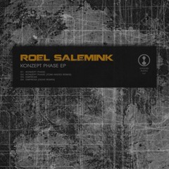 Roel Salemink - Empresa