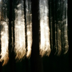 Saralis - Dreaming (Original Mix)