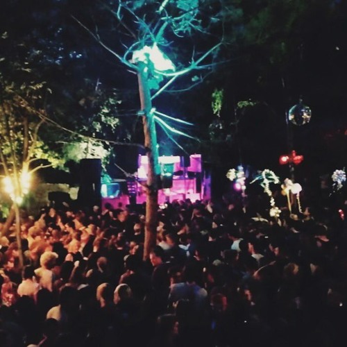 Niko Schwind @ Wilde Möhre Festival 2017