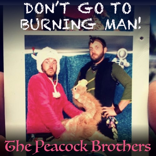 Don't Go To Burning Man