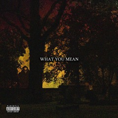 WHAT YOU MEAN (Prod By. NameIsTAZ)