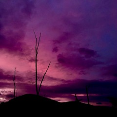 Preaching the End of the World - Chris Cornell cover