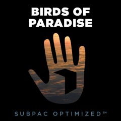 Birds Of Paradise - Secrets Of The Banyan Tree (SUBPAC Optimized)[PREMIERE]