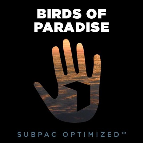 Birds Of Paradise - Secrets Of The Banyan Tree (SUBPAC Optimized)[PREMIERE]