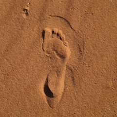 Desertwalk