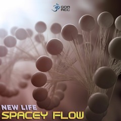 02 - Spacey Flow - Only The Universe