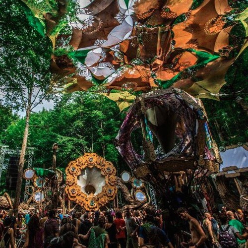 Psytrance Mixes, Dj Sets & Promos - Harry Blotter {Highly Evolved Music}