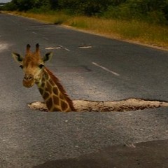 Oh Shit! I'm in a POTHOLE!