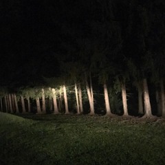 Kenji x Wen x Uso Gotti - At Last (Prod. BluChip)