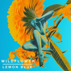 Wildflower - Lemon Blue