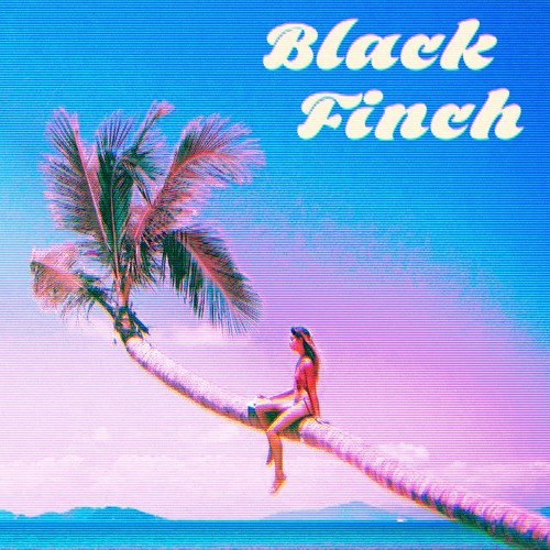 So Long, Have A Nice Flight!