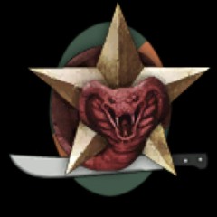 Call Of Duty BO1+MW3 Mashup NVA And African Militia Spawn Theme