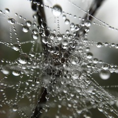 Lokodepo - Ein Wintermarchen Vers.1