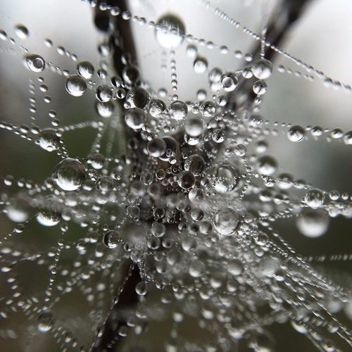 Lokodepo - Ein Wintermarchen Vers.1