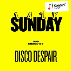 Lazy Sunday Mix 009 - Disco Despair