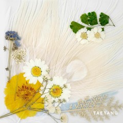 TAEYANG  - DARLING