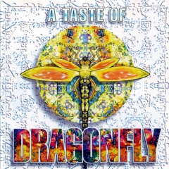 (09) [Zodiac Youth] FastForward (Hallucinogen Remix)