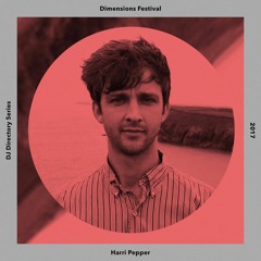 Harri Pepper (Stamp The Wax) - Dimensions Festival DJ Directory Mix